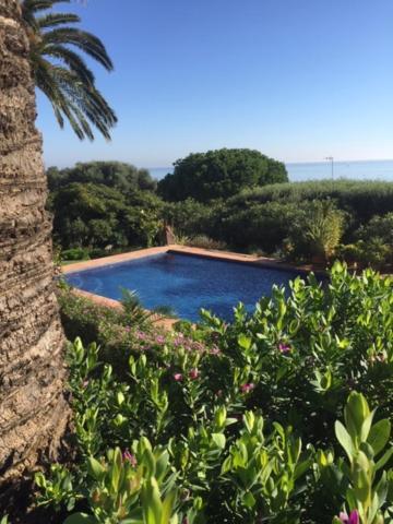Casa Bahia De Casares Bed and Breakfast Eksteriør billede